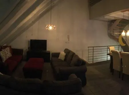 Wunderschone Galeriewohnung Im Herzen Regensburgs *