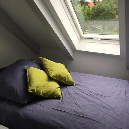 Wunderschone Galeriewohnung Im Herzen Regensburgs דירה