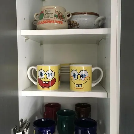 Wunderschone Galeriewohnung Im Herzen Regensburgs רגנסבורג